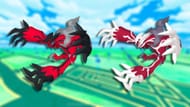 Regular and Shiny Yveltal (Image via TPC)