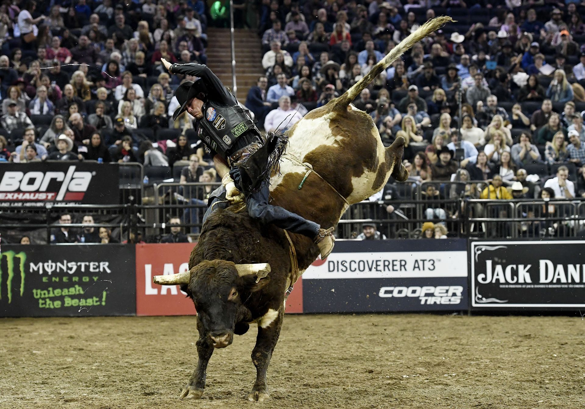 PBR Unleash The Beast