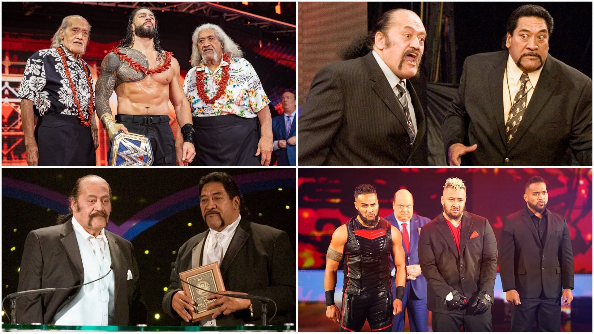 Members of The Bloodline and The Anoa