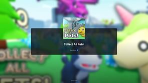 Collect All Pets: A beginner’s guide
