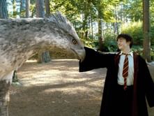 Harry Potter and the Prisoner of Azkaban book vs movie differences explained: Plot, ending and more