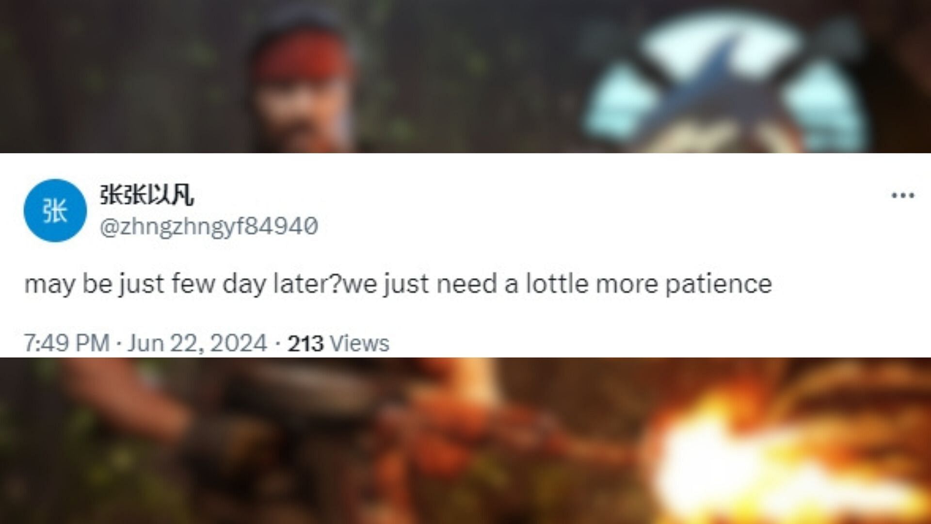 Player suggests patiently waiting for new update (Image via X/@zhngzhngyf84940)