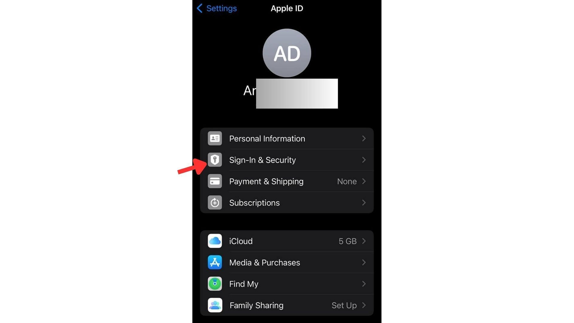 Sign in and security tab (Image via Apple)