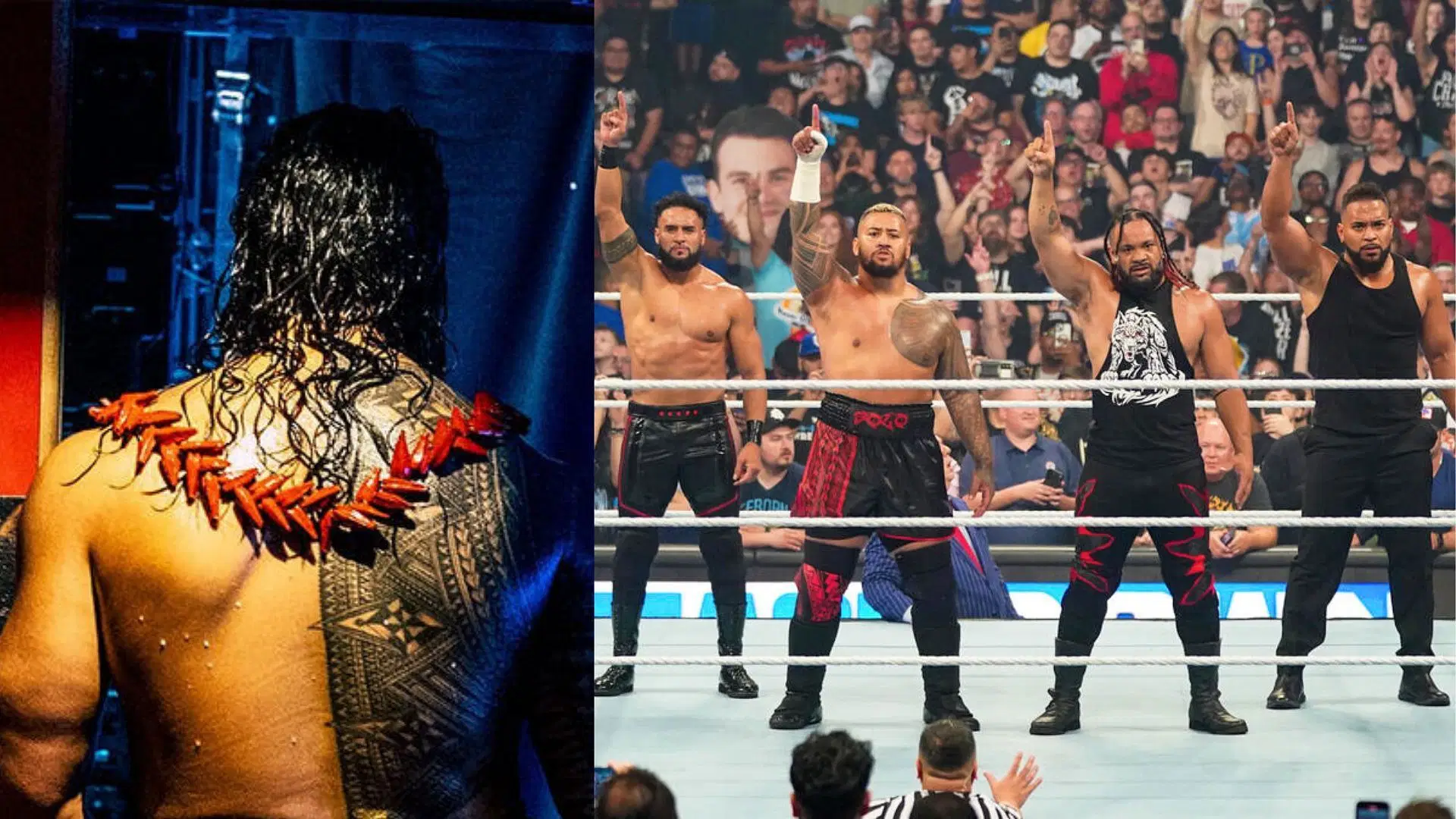 Roman Reigns and the new Bloodline.