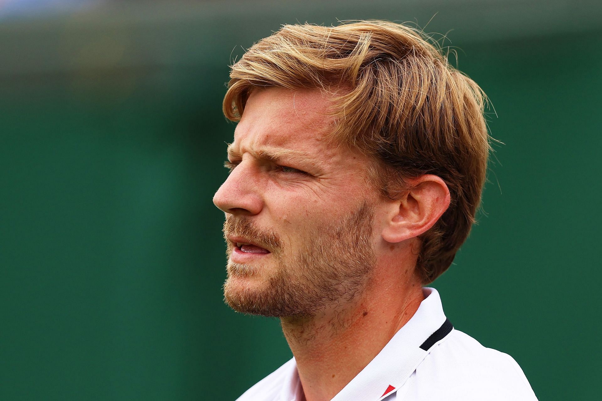 David Goffin