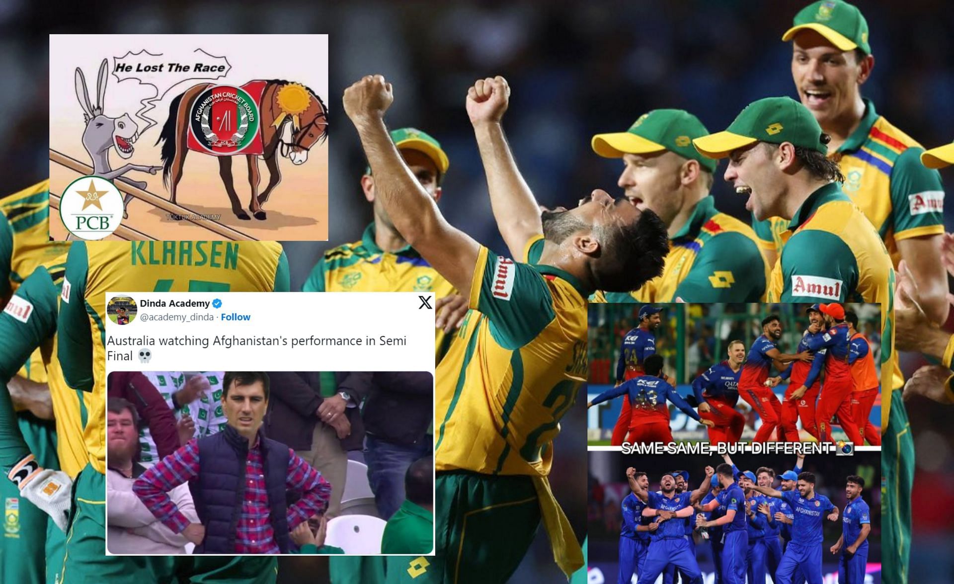 Fans react after 2024 WC semis clash. (Image Credits: @CSA, @GemsOfCricket, @TukTuk_Academy, @academy_dinda/X )