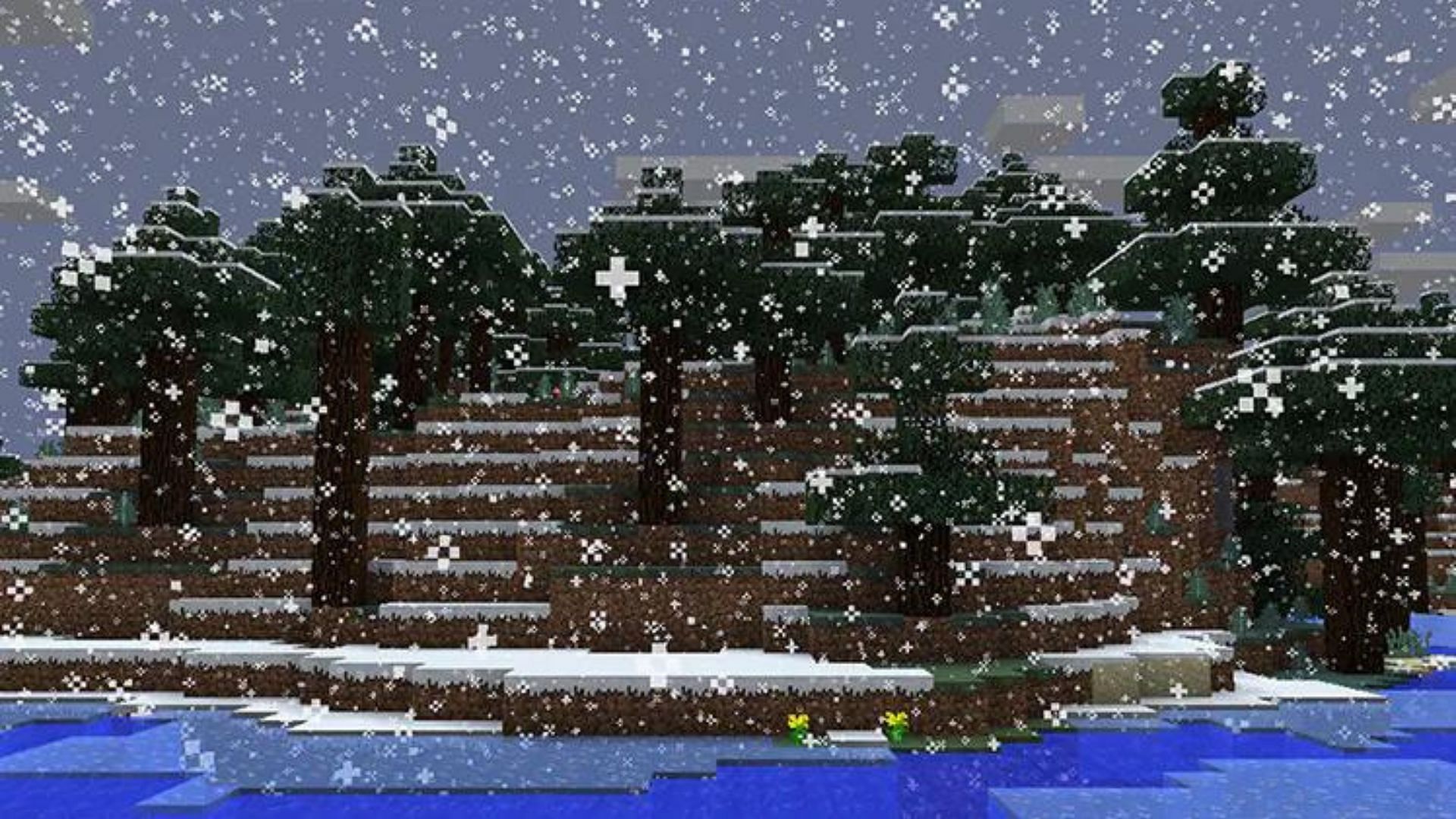 Spruce can be found in colder biomes (Image via Mojang Studios)