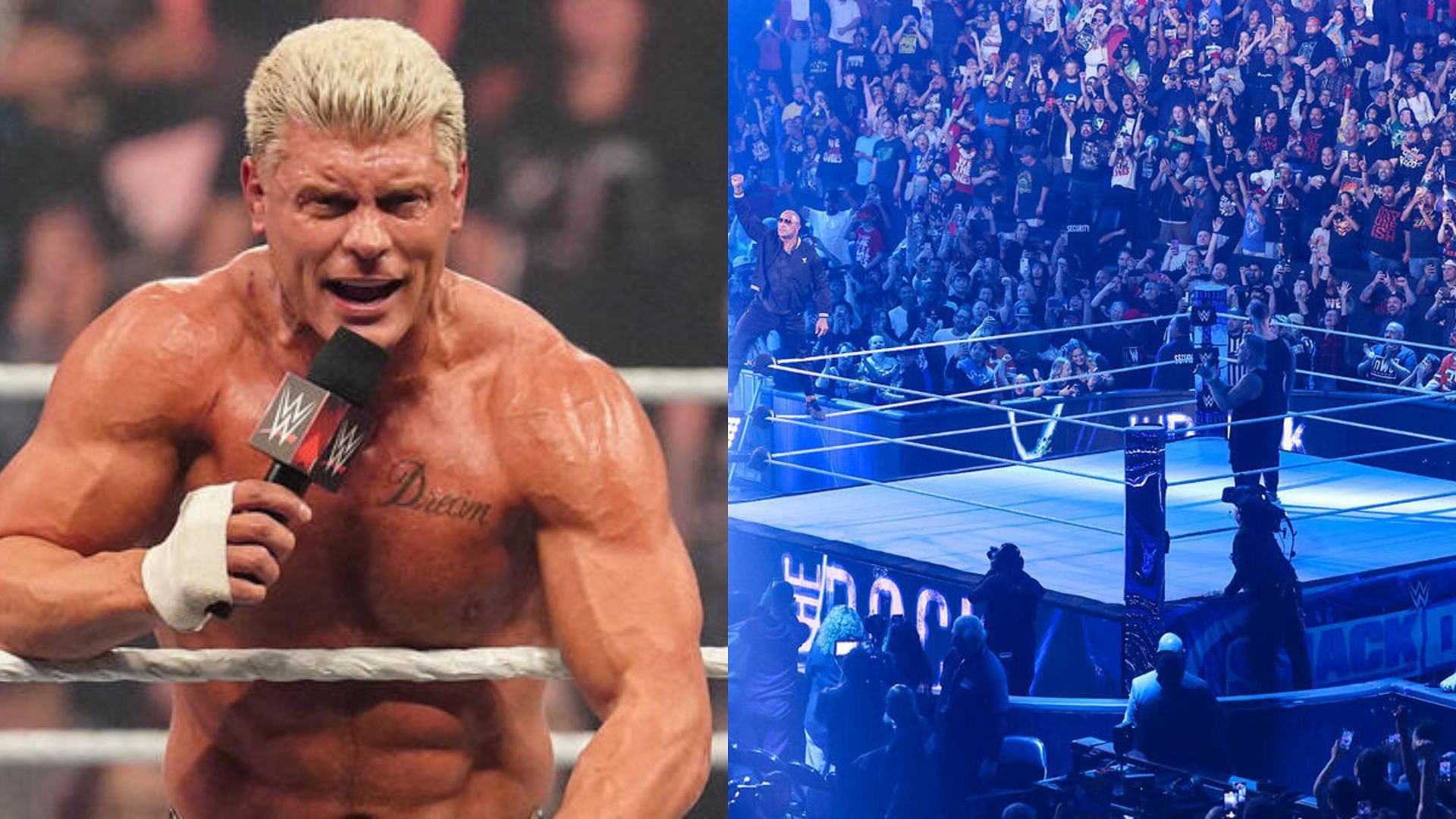 The WWE star has finished up with the company (Credit:WWE)