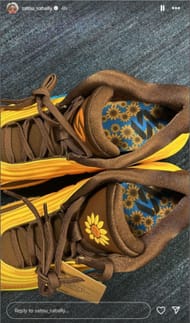 Satou Sabally showed off her custom Jordan PE on Instagram (Credit: IG/satou_sabally)