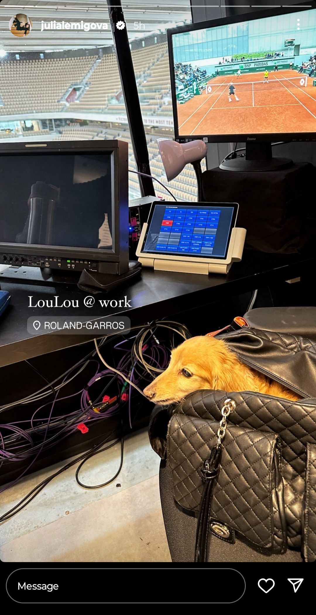 Lemigova and Navratilova's miniature pet Dachshund LouLou in the commentary box at Roland Garros