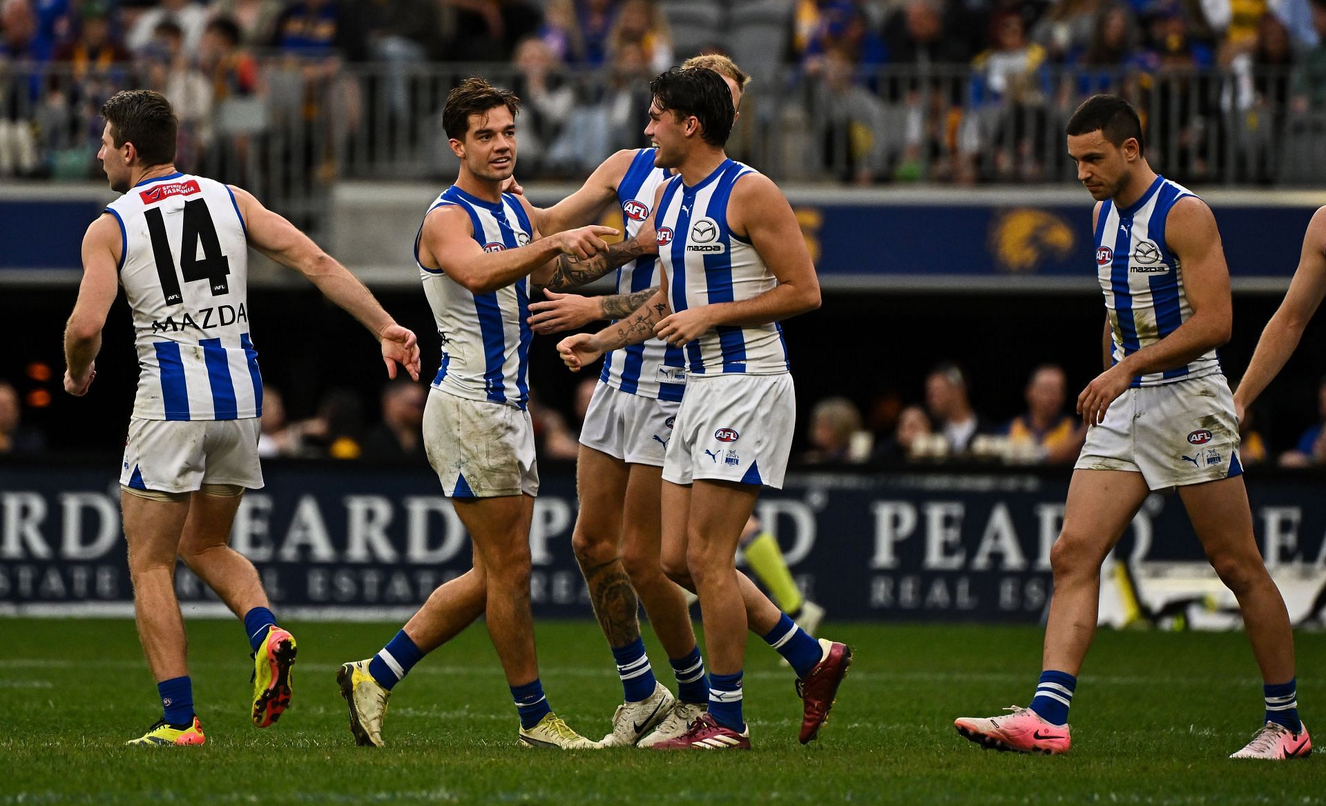 AFL Rd 13 - West Coast v North Melbourne