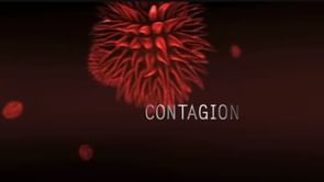 Was Contagion based on a real virus? Everything to know
