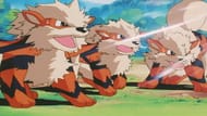 This episode livens up the Pokemon world by showing viewers how people and Pokemon can work together outside of battling (Image via The Pokemon Company)