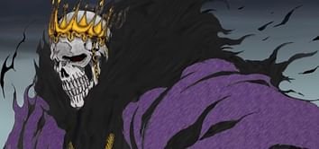 What is Baraggan's ability in Bleach? His powers, explained