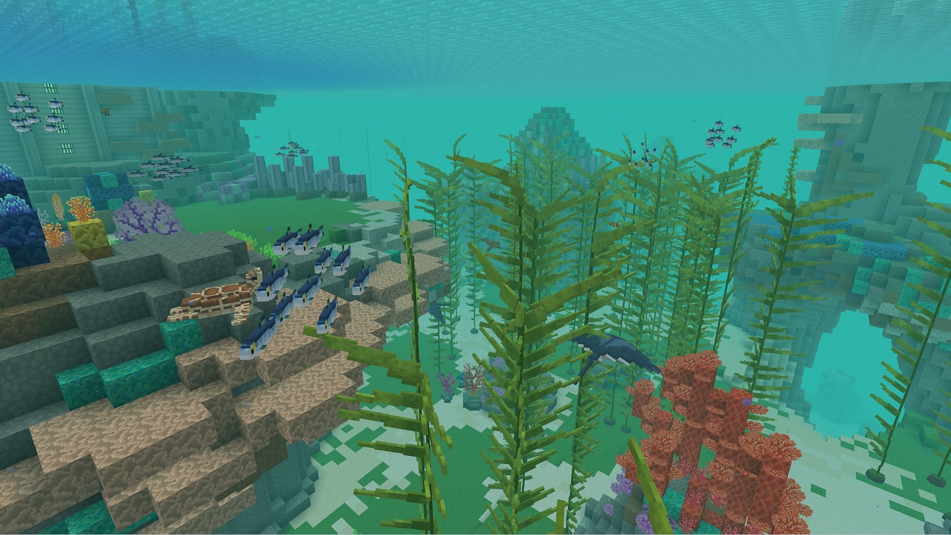 Some of the new life featured in Marine Biologist Roleplay (Image via Mojang)