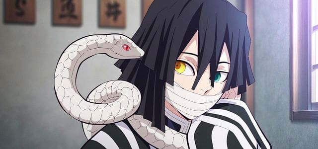 All 9 Demon Slayer Hashira backstories, ranked sad to heartbreaking