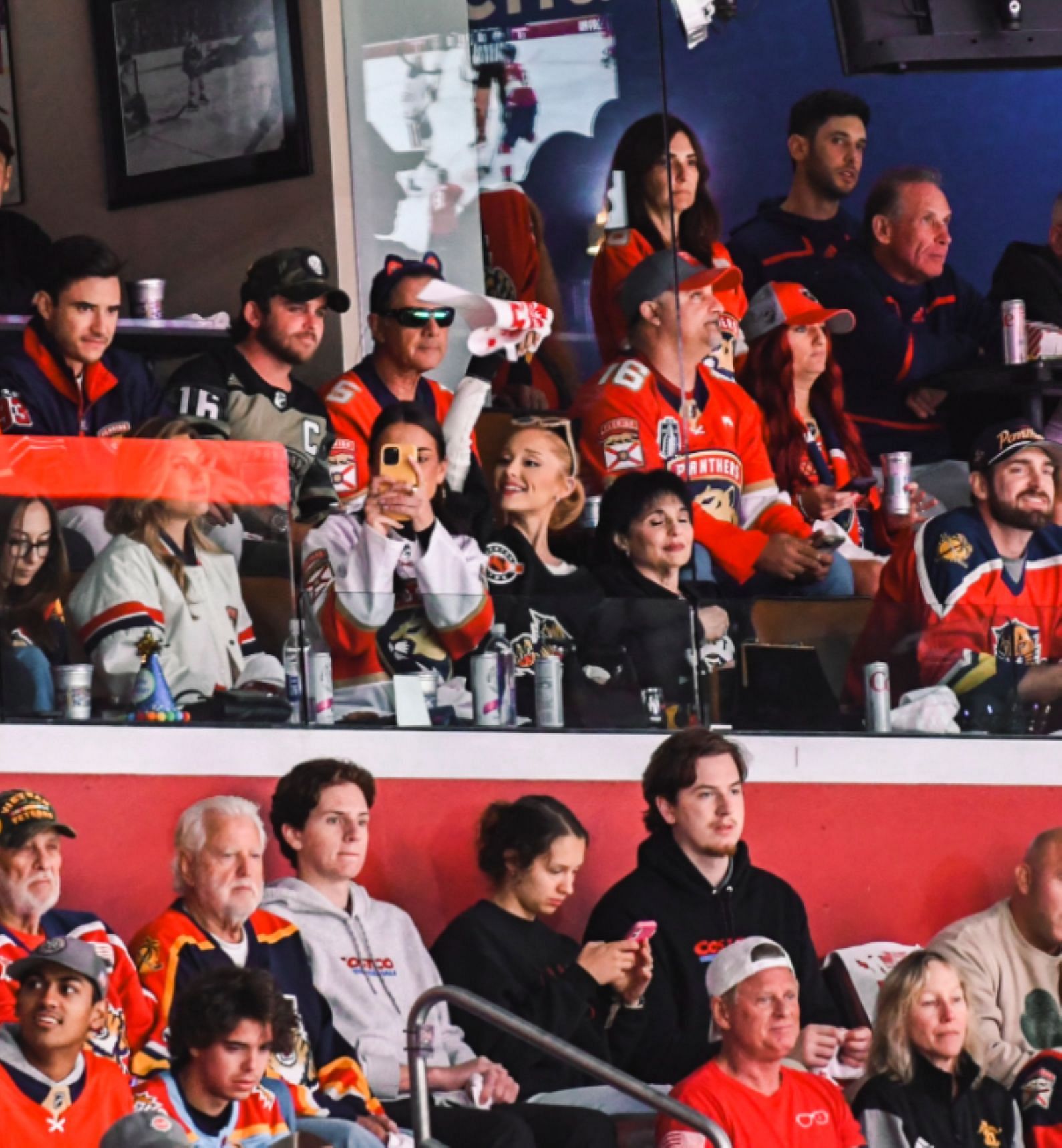 Ariana Grande supporting the Panthers | Image source: NHL