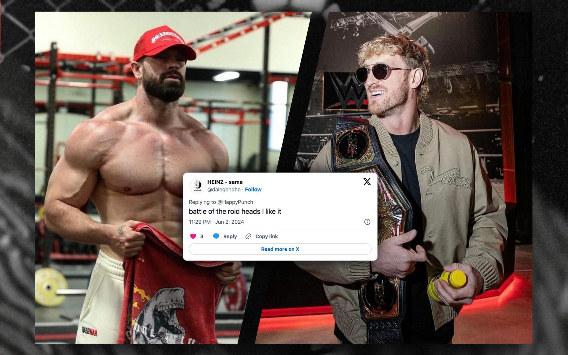 Fans react to a potential  Logan Paul vs Bradley Martyn fight. [Image courtesy: @loganpaul &amp; @bradleymartyn on Instagram]