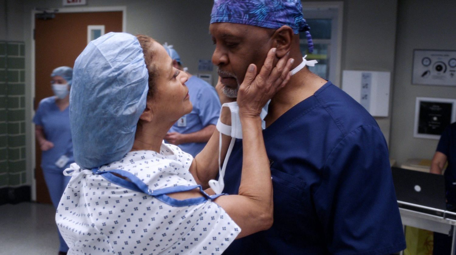 Catherine Fox in Grey&#039;s Anatomy (Image via ABC)