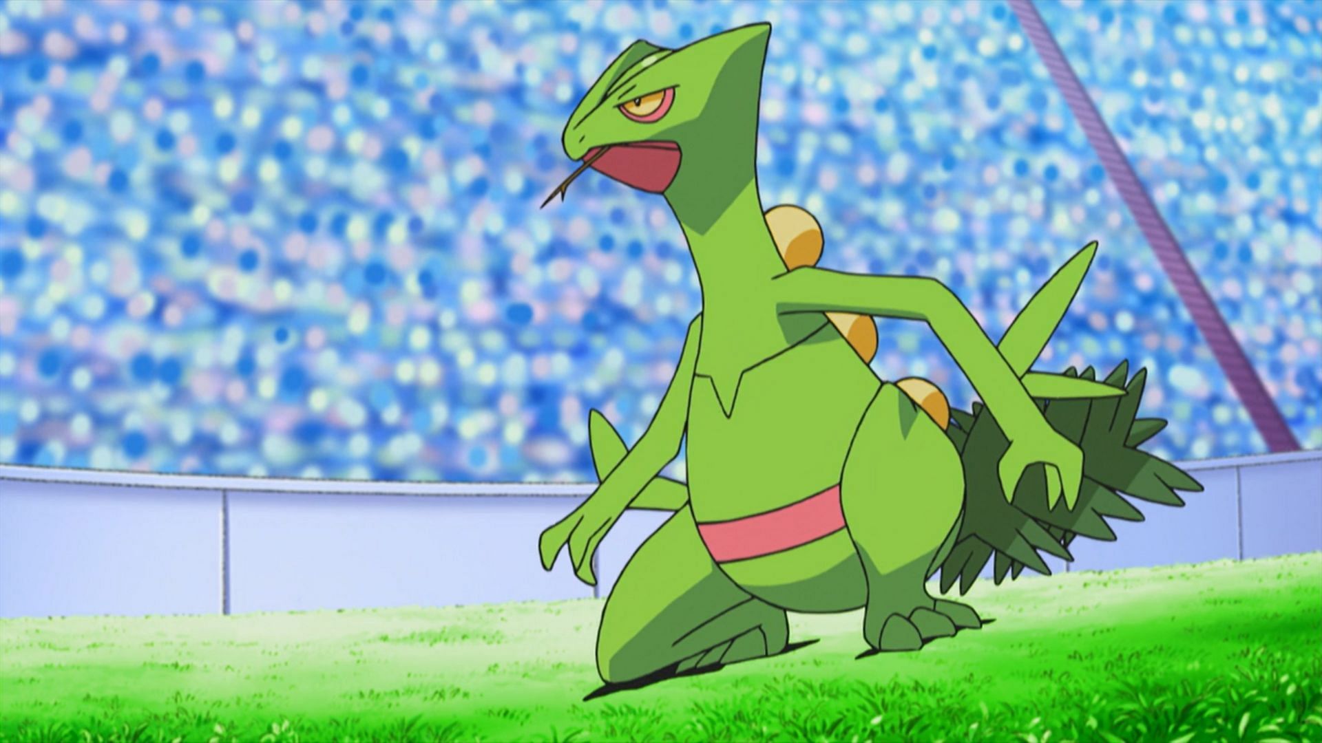 Sceptile in the anime (Image via TPC)