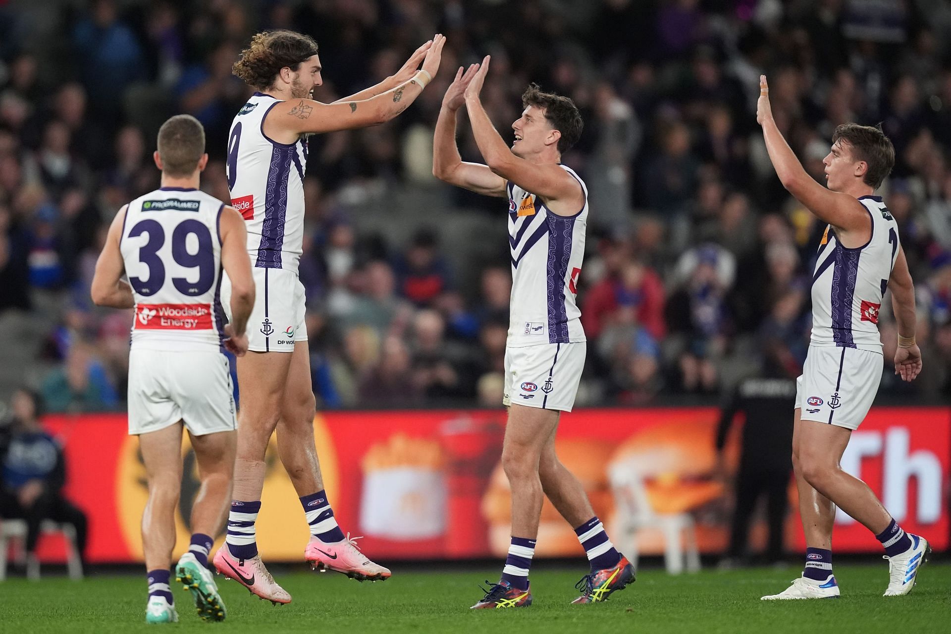 AFL Rd 14 - Western Bulldogs v Fremantle