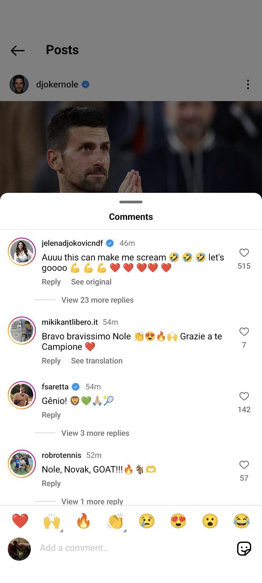 Novak Djokovic&#039;s wife Jelena&#039;s comment on the Serb&#039;s Instagram post celebrating his French Open win against Lorenzo Musetti (Source: Instagram/Novak Djokovic)