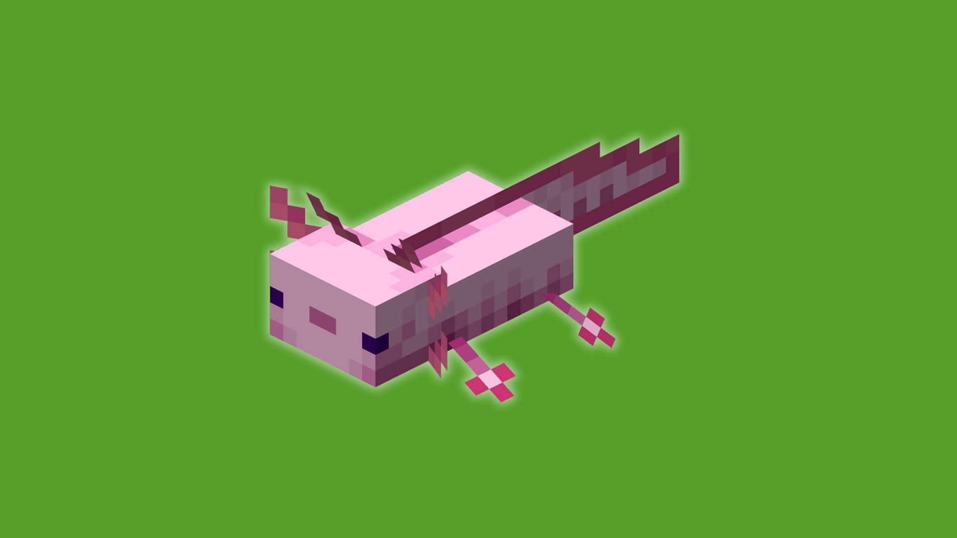 The axolotl in Minecraft (Image via Mojang Studios)
