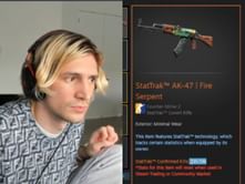 Twitch star xQc gives Stewie2k highly sought-after CS2 skins before IEM Dallas finals, reportedly worth over $10,000