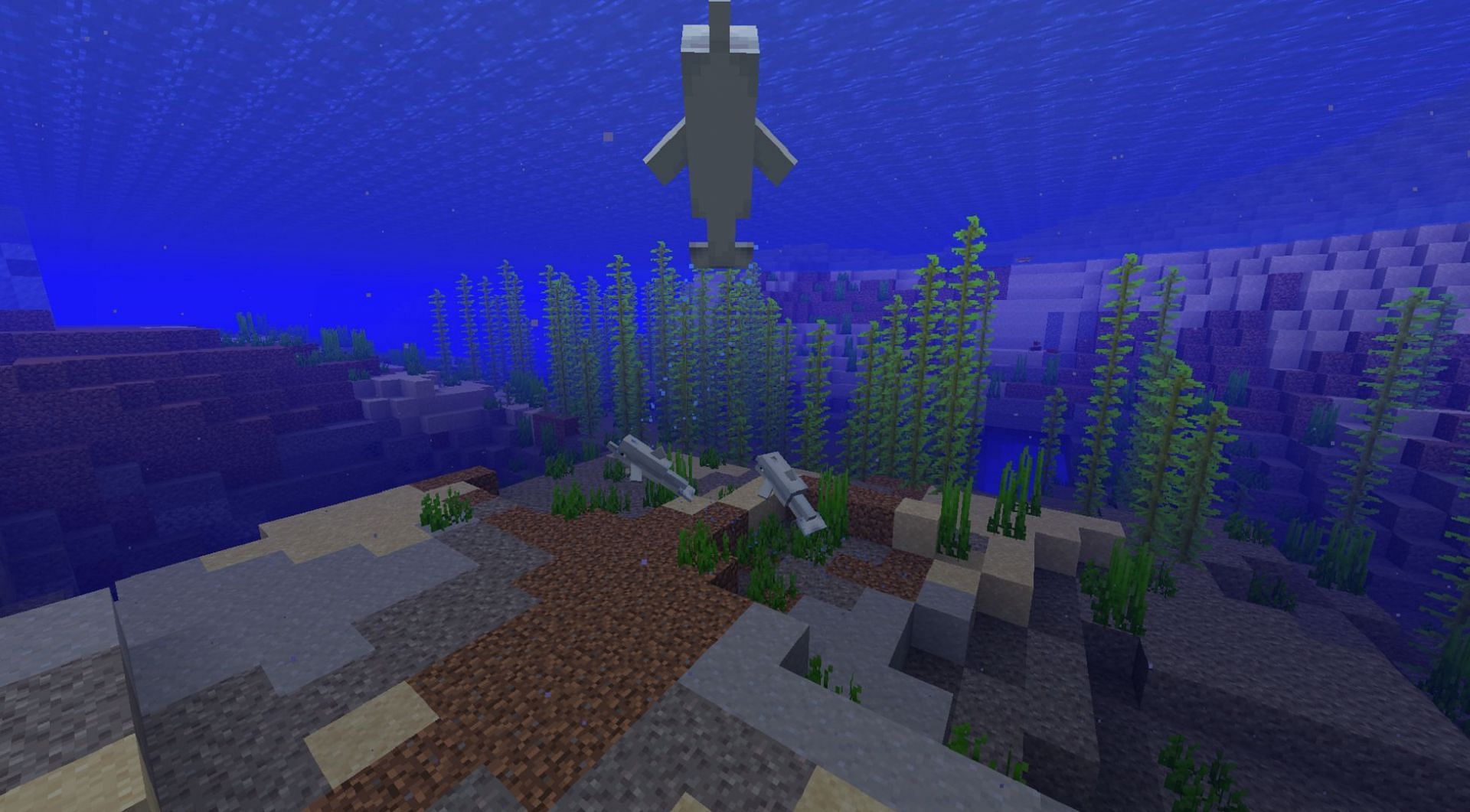 Dolphins can help you track down treasure maps in Minecraft (Image via Mojang)