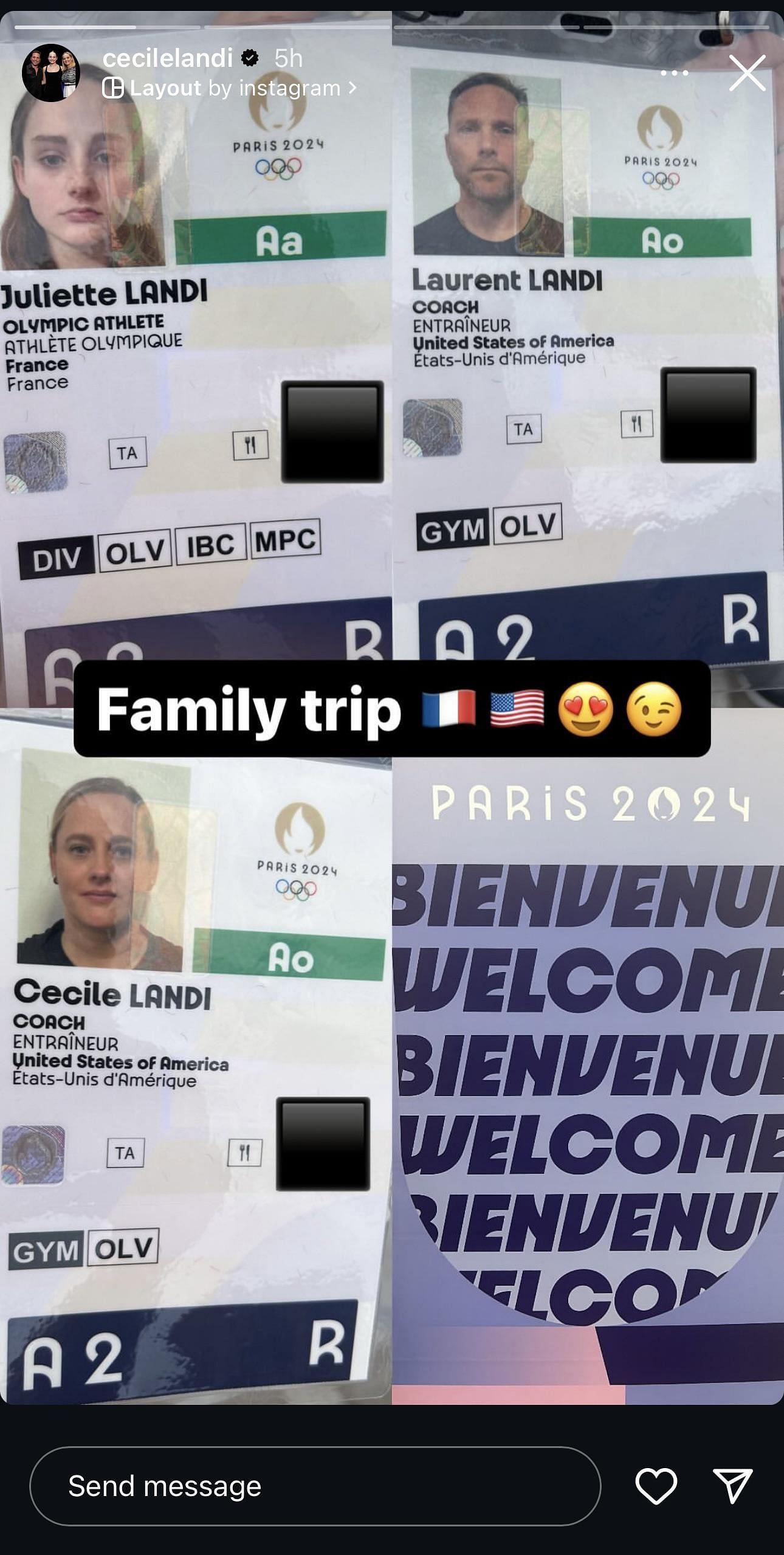 Screenshot of Cecile Landi&#039;s Instagram story [PC: Instagram]