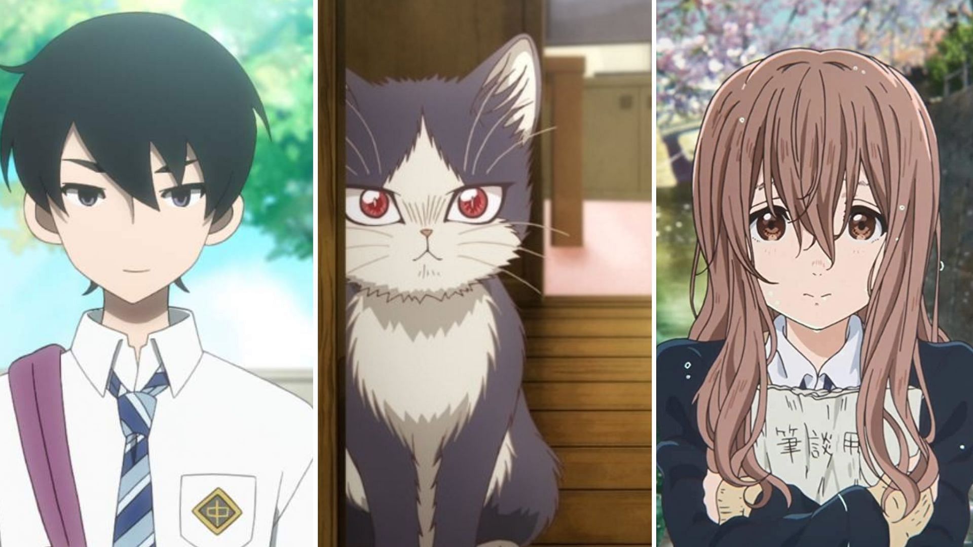 Kakushigoto, My Roommate Is a Cat, A Silent Voice 