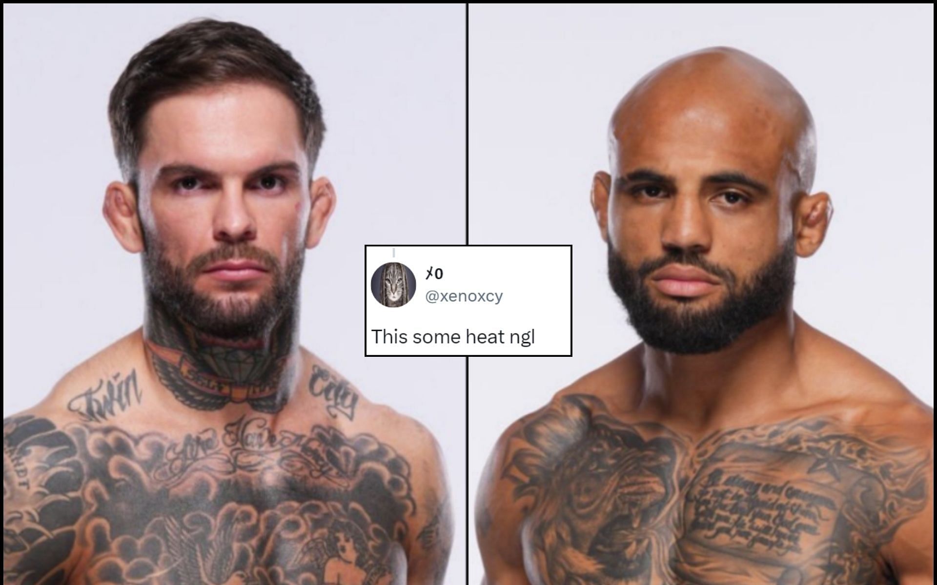 Cody Garbrandt faces Miles Johns in October. [Image credit: @@MarcelDorff on X]