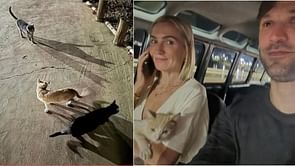 Daniel Suarez and Julia Piquet’s Brazil trip turns heroic with rescue of stray cat 'El Flaco'