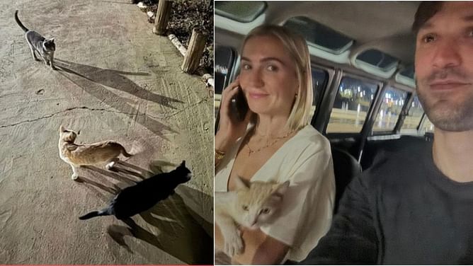Daniel Suarez and Julia Piquet’s Brazil trip turns heroic with rescue of stray cat 'El Flaco'