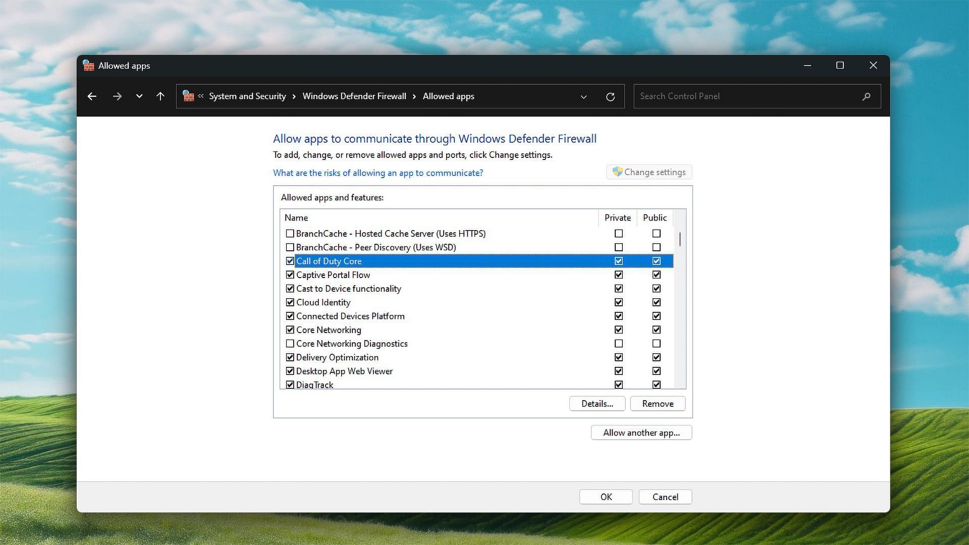 Allowing Warzone through Windows Firewall (Image via Microsoft)