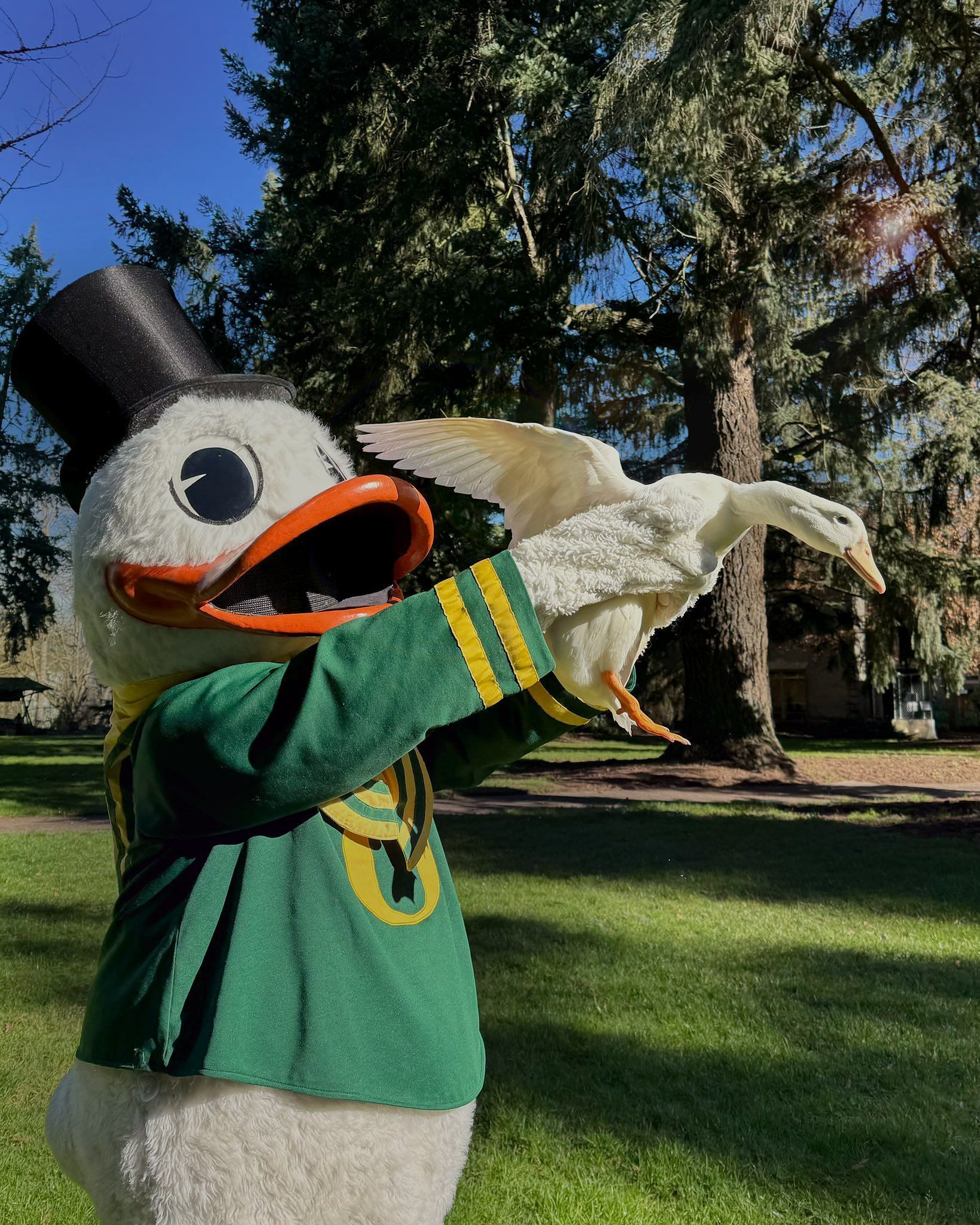 Picture Source: @TheOregonDuck (X)