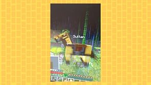 A hilarious Minecraft glitch causes the player's newly named horse to spin fast