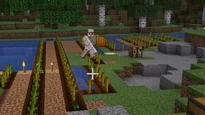 "Bro really wants vengeance": Minecraft player chased by Iron Golem across biomes, community reacts hilariously