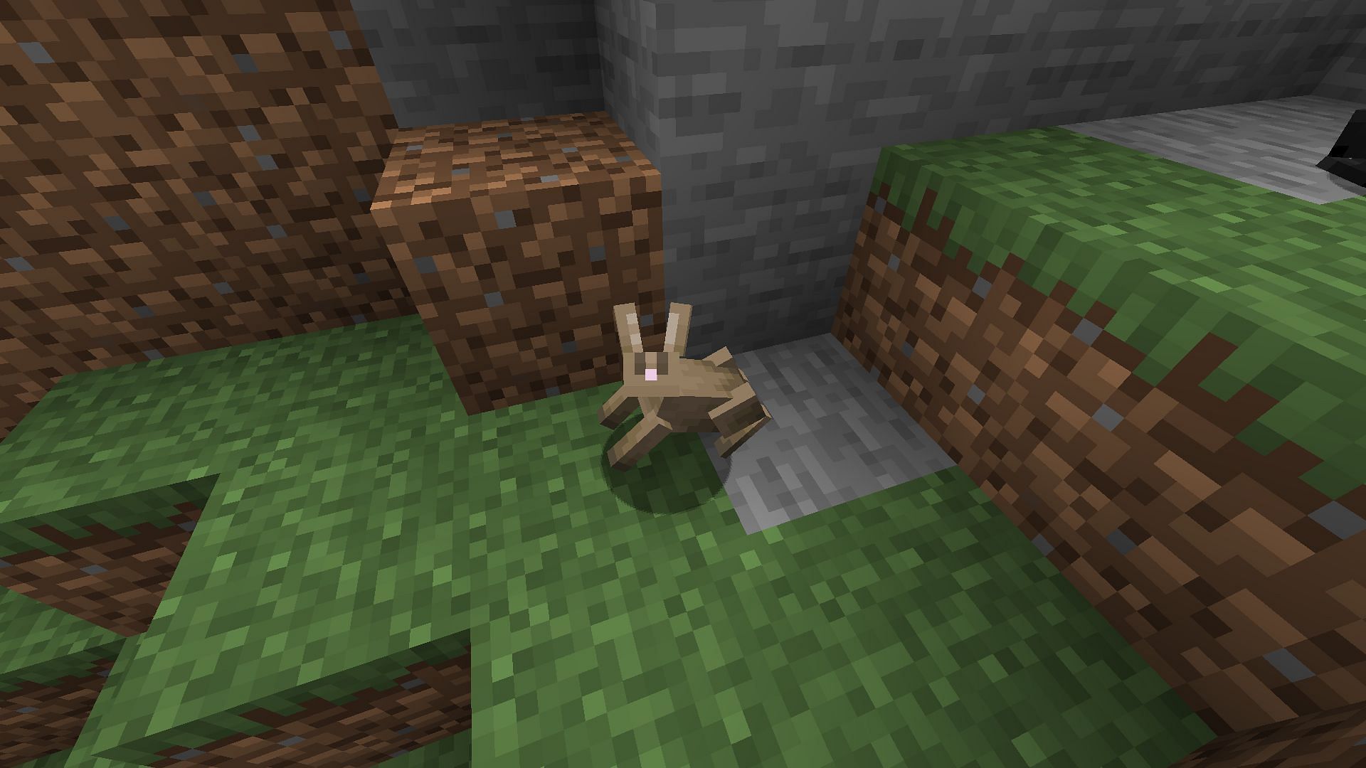 Rabbit can be found in several biomes. (Image via Mojang Studios)
