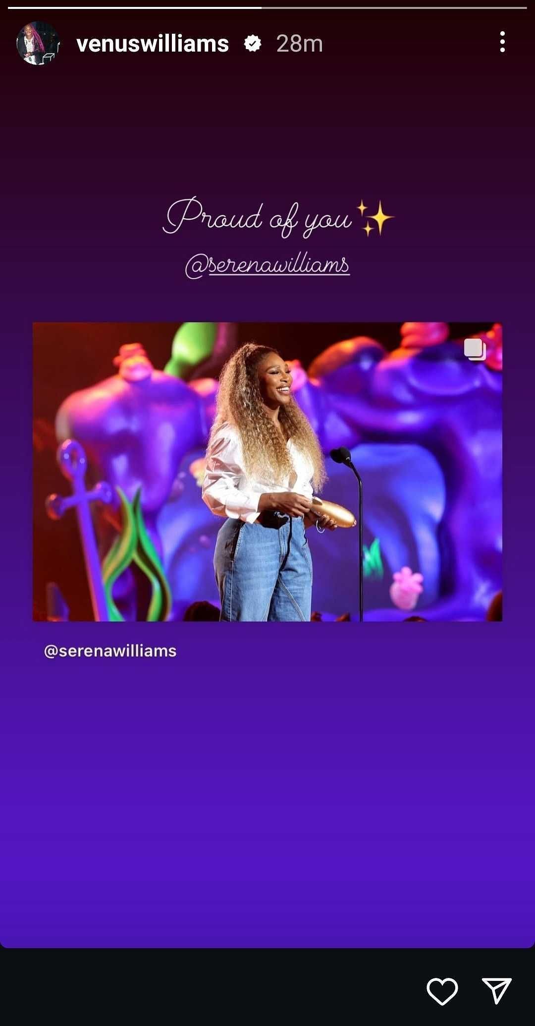 Venus Williams&#039; Instagram story screenshot