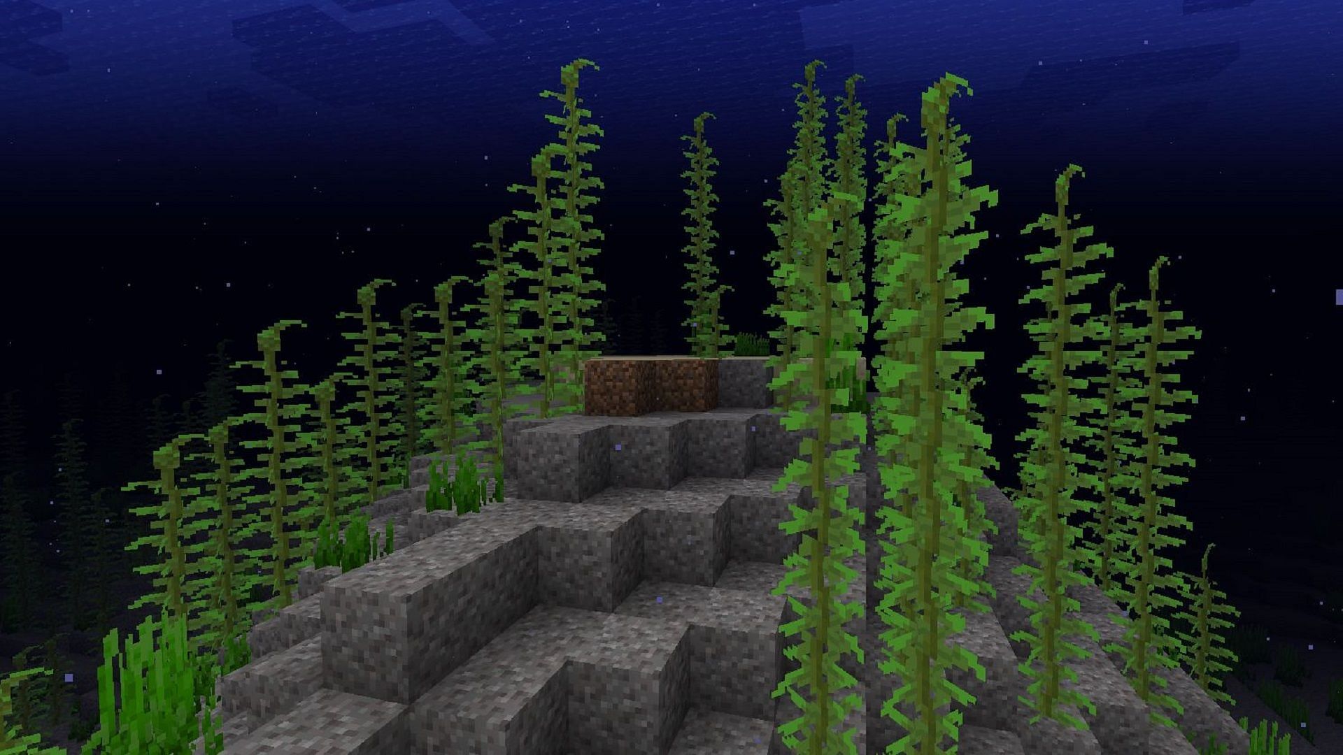 Kelp isn&#039;t great as a food source, but it&#039;s magnificent for early experience points (Image via Mojang)