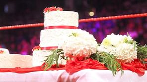 Ex-WWE star reacts to accepting marriage proposal on show; provides wedding update