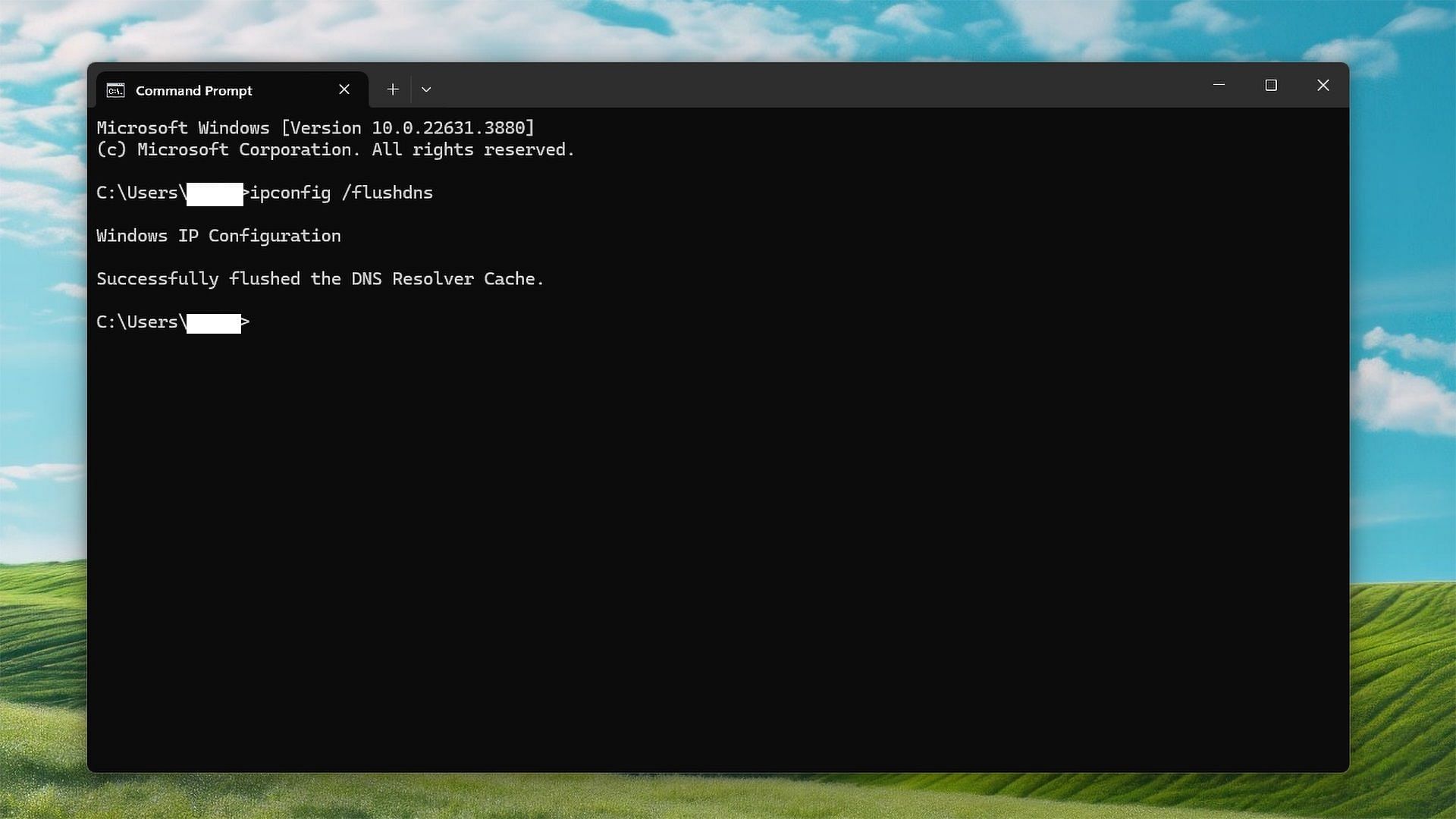 Flush the DNS cache in Windows 11 (Image via Microsoft)