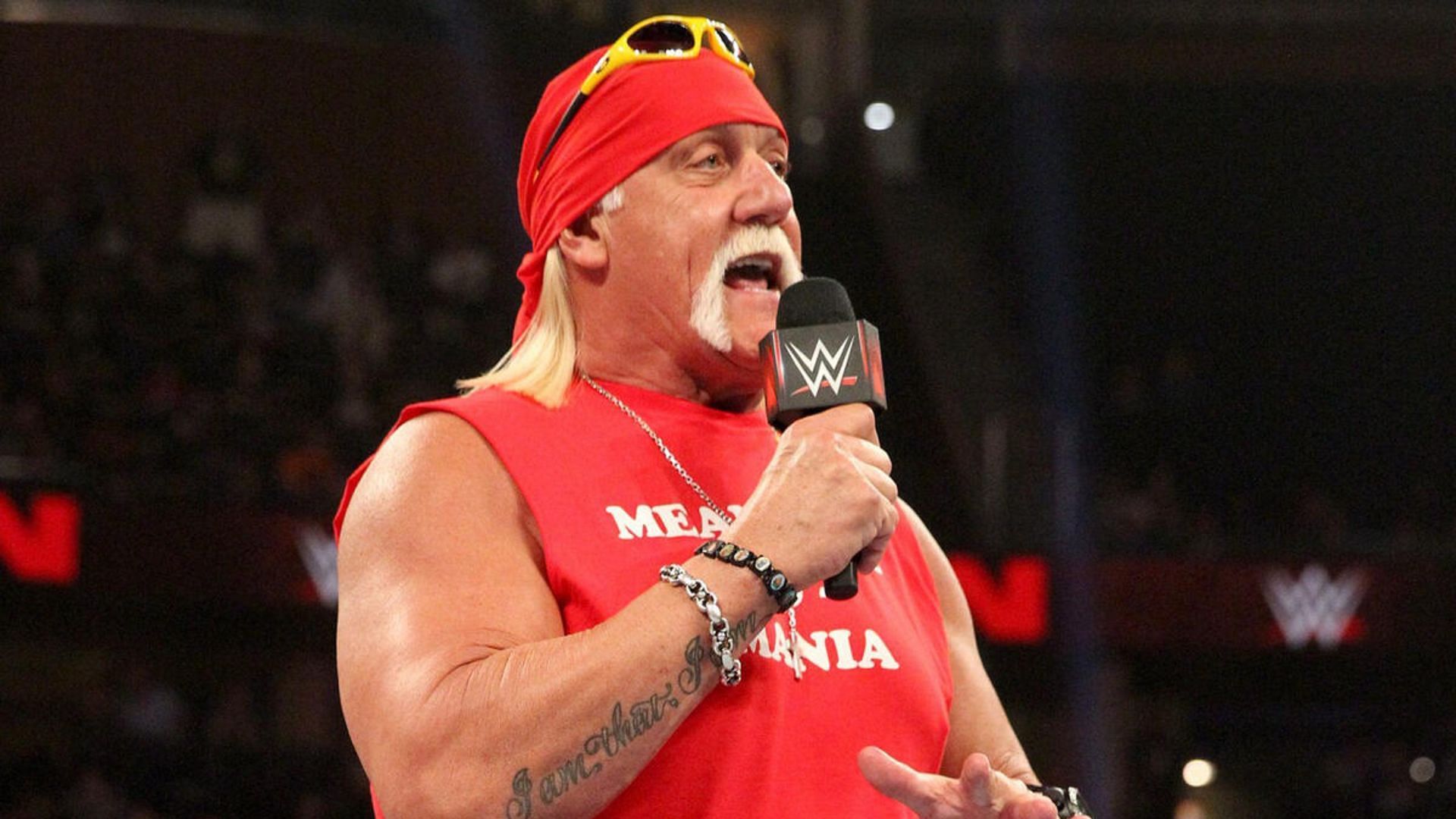 Hulk Hogan was recently accused of racism (via WWE.com)