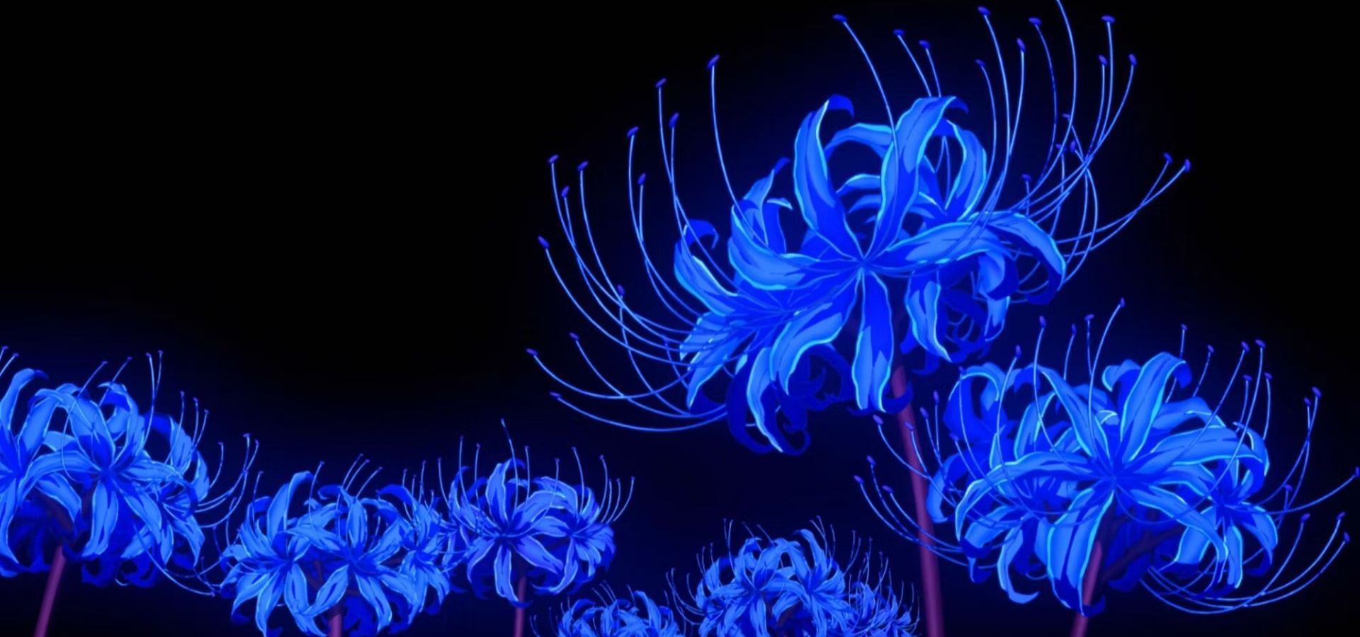 Blue Spider Lily (Image via Ufotable)