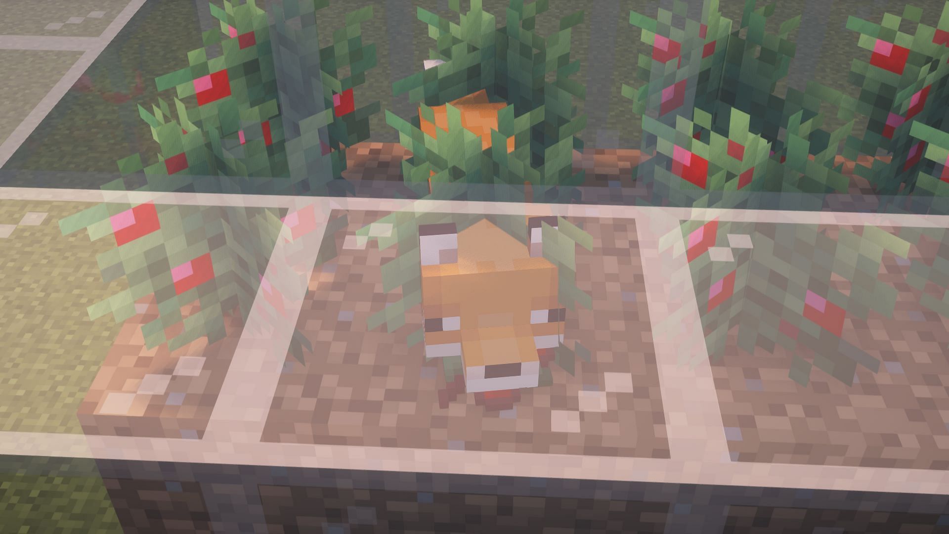 The fox added to the sweet berry farm (Image via Mojang)