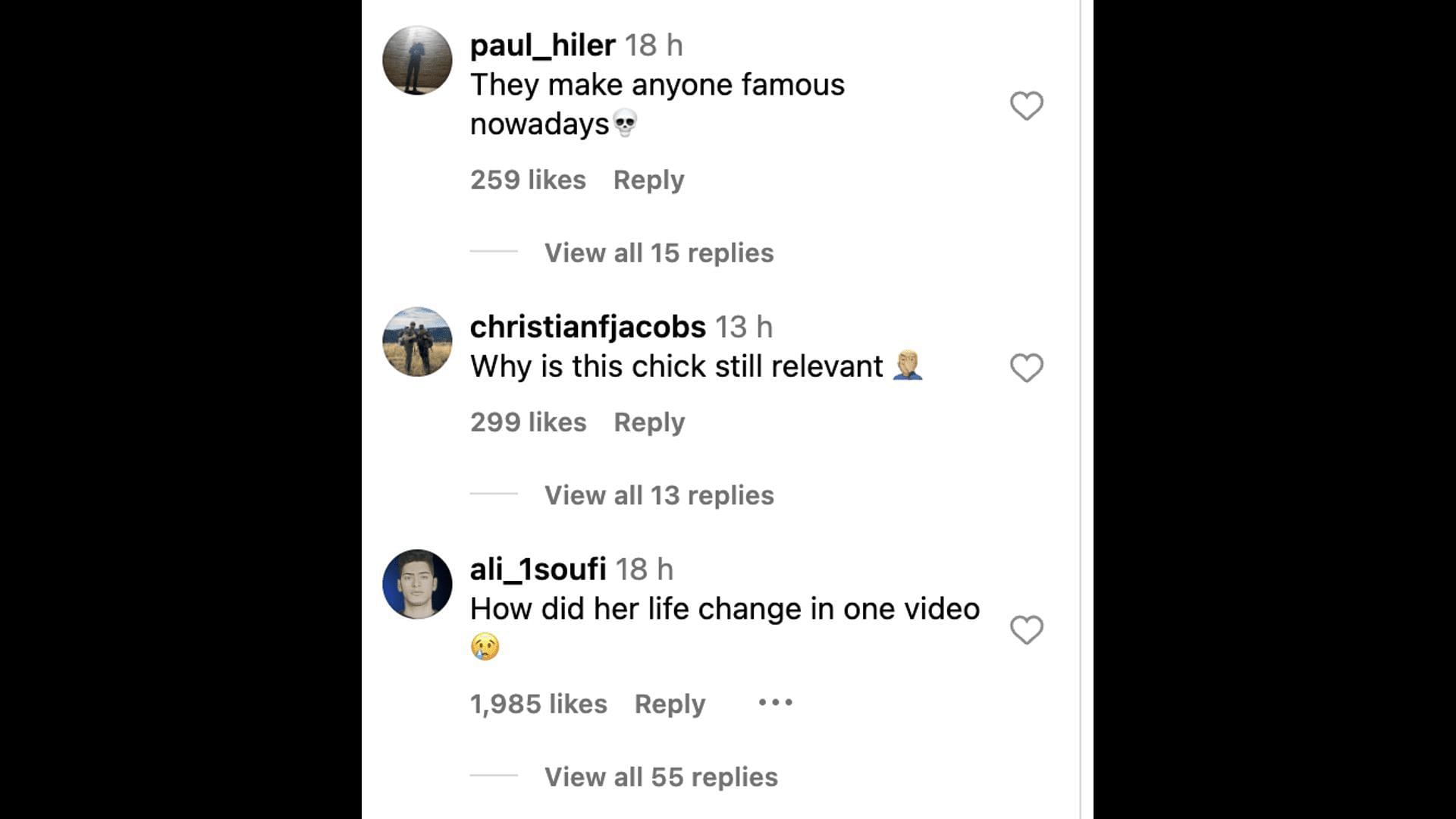 Social media users reacted to Hailey&#039;s pictures and videos with Hulk Hogan and Jake Paul. (Image via @HaileyWelch/ Instagram)