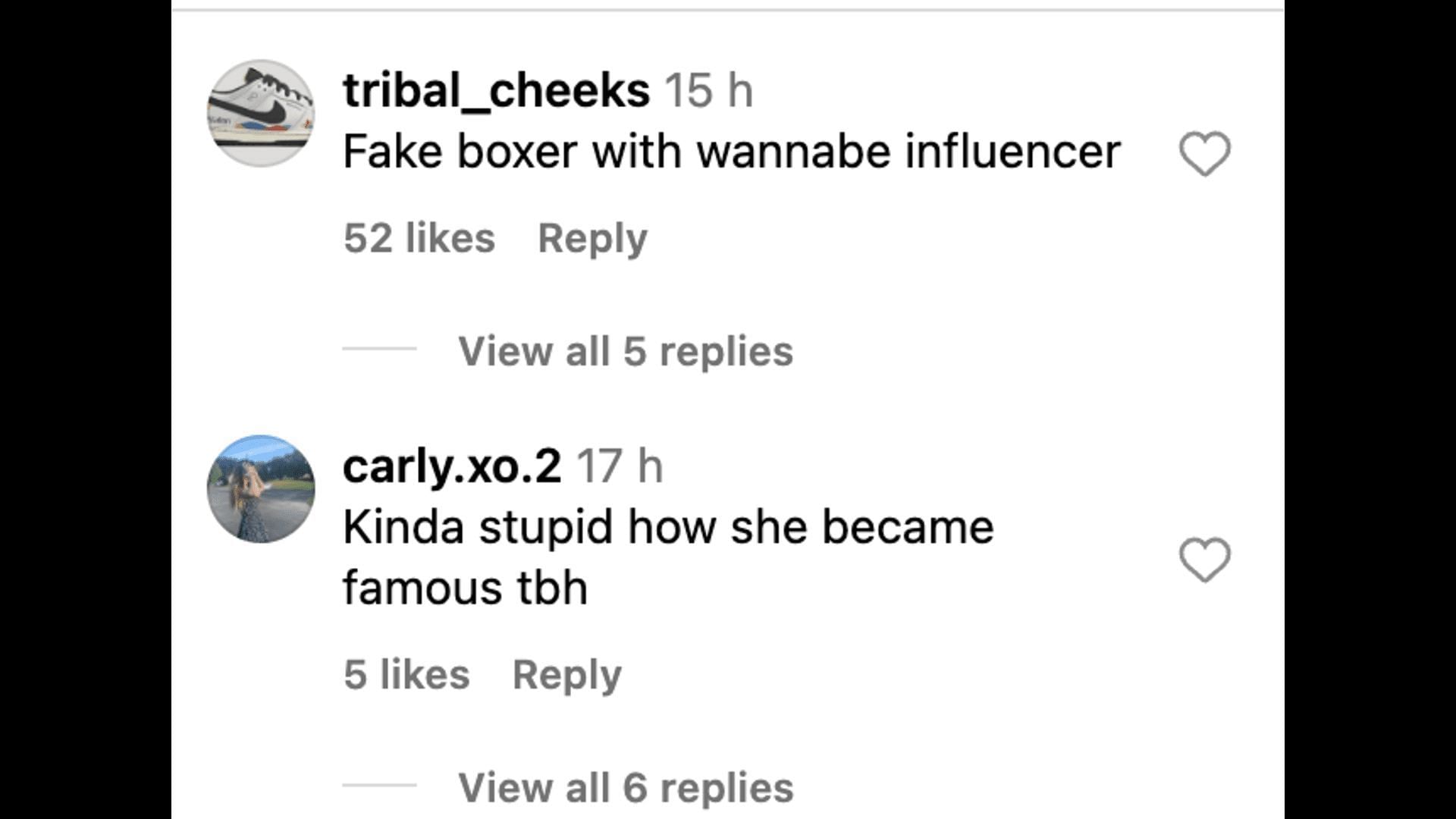 Social media users reacted to Hailey&#039;s pictures and videos with Hulk Hogan and Jake Paul. (Image via @HaileyWelch/ Instagram)