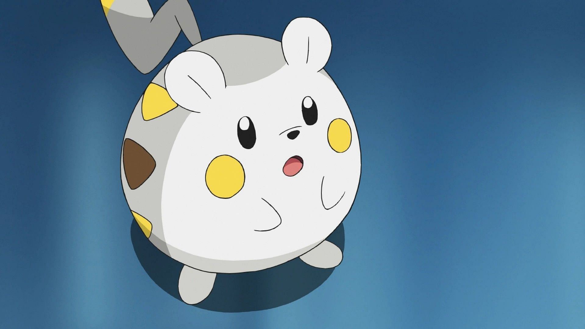 Togedemaru in Pokemon Anime (Image via The Pokemon Company)