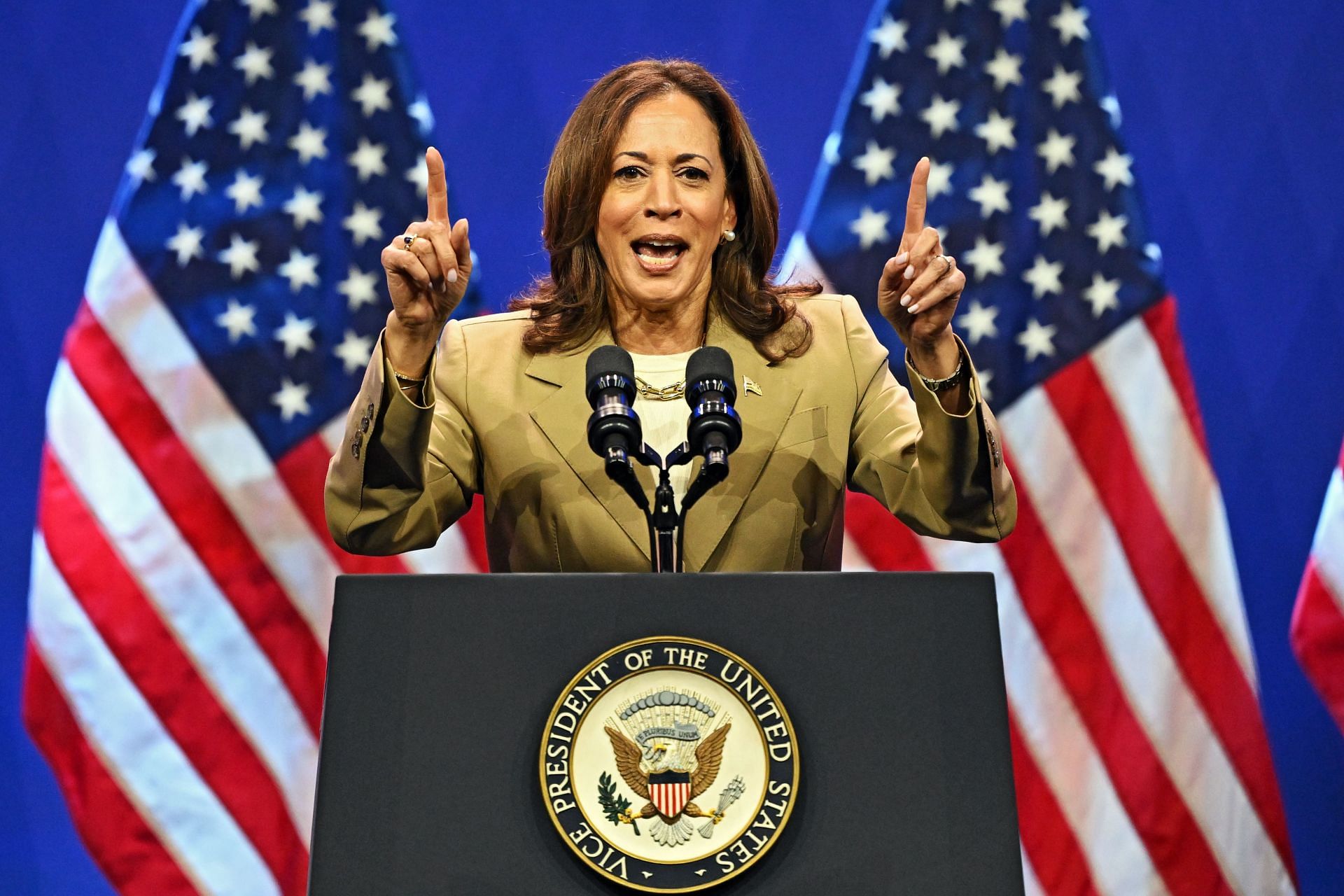 Kamala Harris is now running for President (Image via Drew Hallowell/ Getty Image)